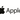 Apple Reparatur